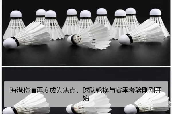 hai-gang-shang-qing-zai-du-cheng-wei-jiao-dian-qiu-dui-lun-huan-yu-sai-ji-kao-yan-gang-gang-kai-shi-2-873.jpg