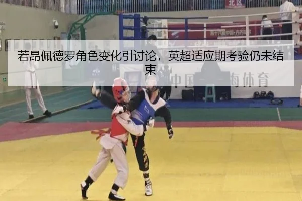 ruo-ang-pei-de-luo-jue-se-bian-hua-yin-tao-lun-ying-chao-shi-ying-qi-kao-yan-reng-wei-jie-shu-2-221.jpg